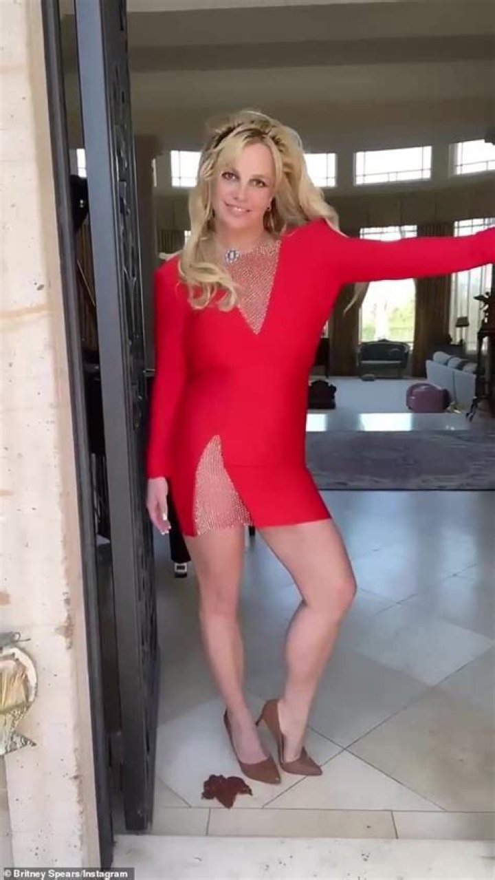 Britney Spears Stuns in Tight Orange Dress on Rare Public Outing With Her Dog