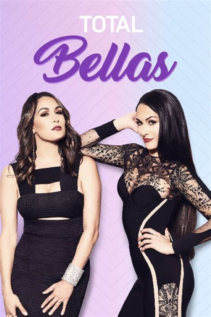 ‘Total Bellas’: Nikki Freaks Out When Artem Pretends To Propose — ‘It’s Just Too Soon’